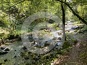 Small mountain river GerovÃÂica, Zamost - Region of Gorski kotar, Croatia / Mala gorska rijeka GerovÃÂica photo